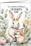 Happy Mothers Day New Mommy Bunny and Baby card