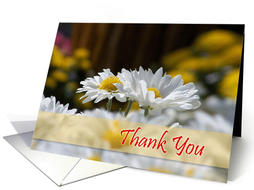 Thank You - White Daisies card (205406)