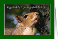 Squirrel Sings Happy Birthday card