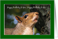 Squirrel Sings Happy...