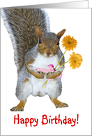 I Love Squirrels Birthday Card Greeting Card