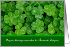 St. Patricks Day Shamrocks Card