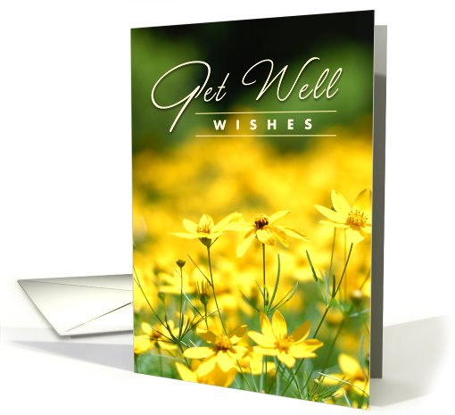 Get Well Wishes - Beautiful Wild Flowers card (772490)