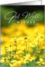 Get Well Wishes - Beautiful Wild Flowers card