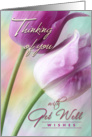 Get Well Wishes - Watercolor Tulips card