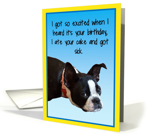 Sick Boston Happy Birthday card (1444858)