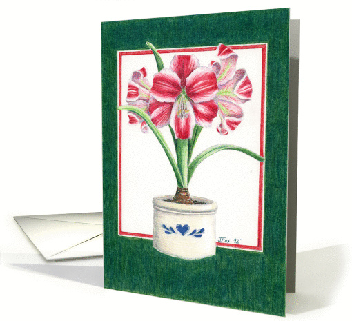 Amaryllis card (50625)