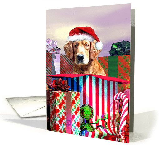 Golden Retriever Christmas card (101216)