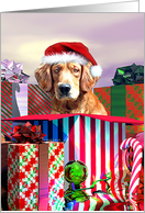 Golden Retriever Christmas Cards