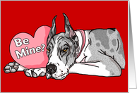 Great Dane MerleB Valentine’s Day Cards
