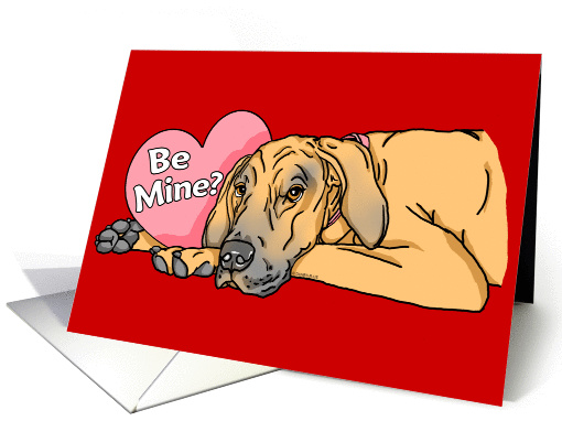 Great Dane Fawn UC Valentine's Day card (143349)