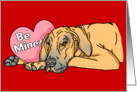 Great Dane Fawn UC Valentine’s Day Cards