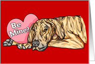 Great Dane Brindle UC Valentine’s Day Cards