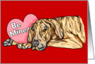 Great Dane Brindle UC Valentine’s Day Cards