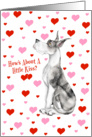 Great Dane MerleB Pucker Up Cards