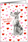 Great Dane Merle Pucker Up Cards