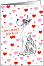 Great Dane Harle Pucker Up Cards