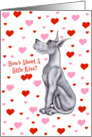 Great Dane Blue Pucker Up Cards