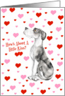 Great Dane MerleB UC Pucker Up card