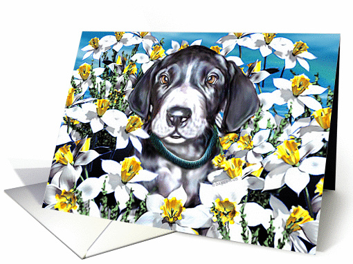Great Dane Pup Mantle In the Daffodils card (143957)