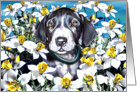 Great Dane Pup Mantle In the Daffodils card