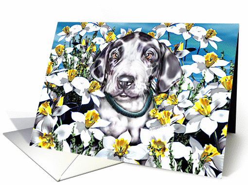 Great Dane Pup Harle In the Daffodils card (143959)