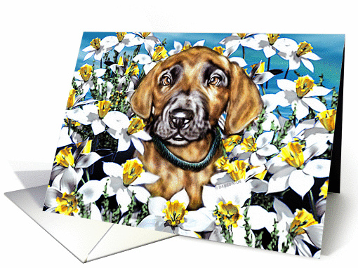 Great Dane Pup Brindle In the Daffodils card (143963)