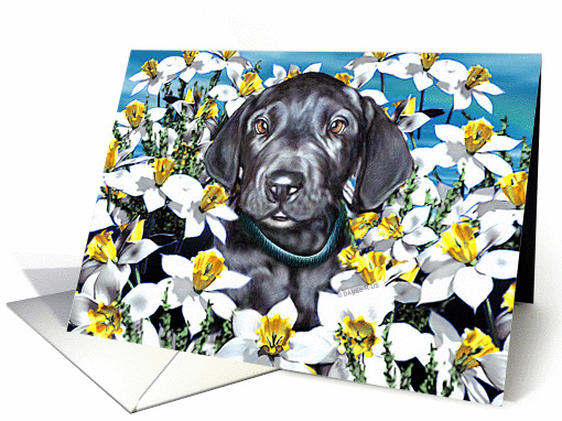 Great Dane Pup Black In the Daffodils card (143967)