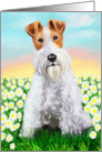 Wire Fox Terrier Daisy Patch card