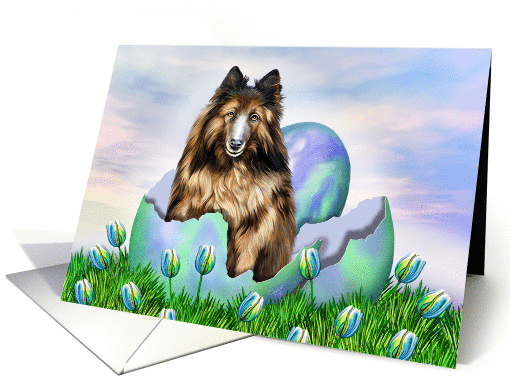 Belgian Tervuren Sheepdog Easter Surprise card (161017)