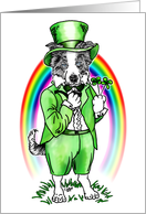 Border Collie St Patrick’s Day Leprechaun card