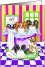 Papillon Dog Tub Full card