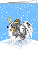 Papillon Dog Christmas Reindeer BW card