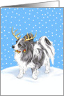 Papillon Dog Christmas Reindeer BW card