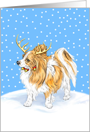 Papillon Dog Christmas Reindeer LT Red card