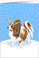 Papillon Dog Christmas Reindeer Sable card