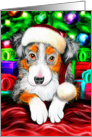 Australian Shepherd Pup Dog Christmas card