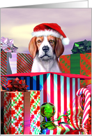 Beagle Dog Christmas...