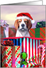 Beagle Dog Christmas Surprise card