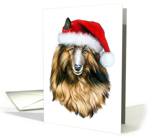 Belgian Tervuren Dog Christmas Santa card (270099)