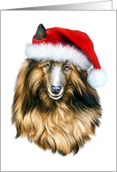 Belgian Tervuren Dog Christmas Santa card