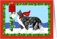 Border Collie BW Dog Christmas Holiday Mail card