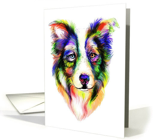 Border Collie Bright Dog Head Bust card (270105)