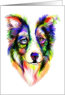 Border Collie Bright Dog Head Bust card