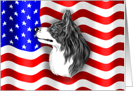 Border Collie BW Dog Patriot US Flag card