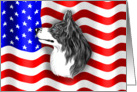 Border Collie BW Dog Patriot US Flag card
