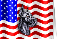 Great Dane Black Dog Patriot US Flag card