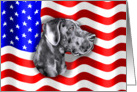 Great Dane Blue Dog Patriot US Flag card