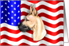Great Dane Fawn Dog Patriot US Flag card