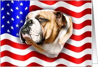 Bulldog Dog Patriot US Flag card